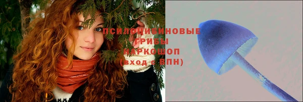 мдма Белокуриха