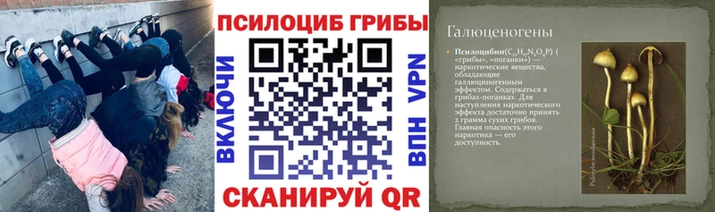Псилоцибиновые грибы Psilocybine cubensis  kraken ONION  Окуловка 